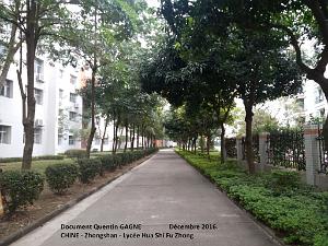 Zhongshan 038- Ensemble